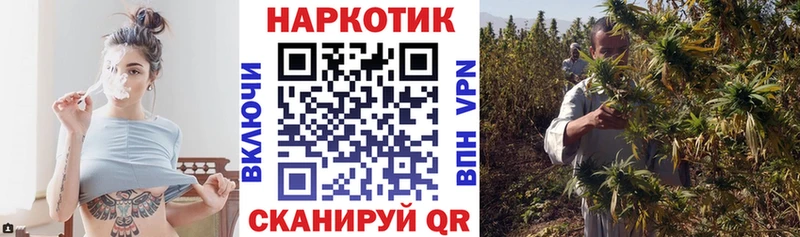 Где купить наркотики Ачхой-Мартан Alpha-PVP  Кокаин  Меф  Псилоцибиновые грибы  ГАШ 