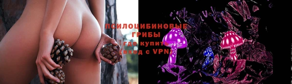 мяу мяу мука Струнино