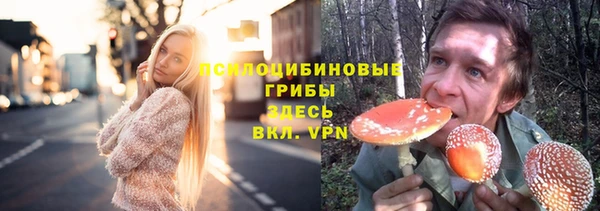соль курить ск Строитель